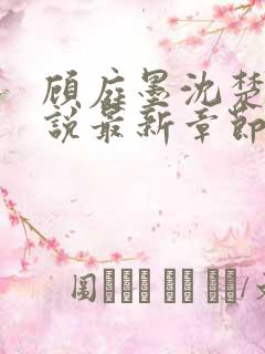 顾庭墨沈楚意小说最新章节免费阅读