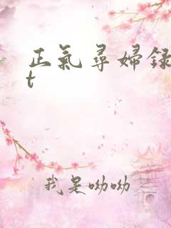 正气寻妇录txt