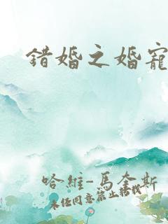错婚之婚宠一世