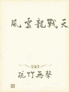 风云龙战天下
