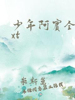 少年阿宾全集txt