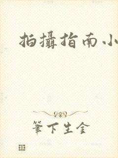 拍摄指南小说