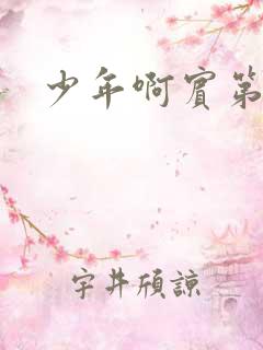 少年啊宾第二部