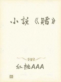 小说《赌》