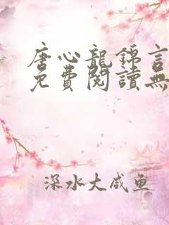 唐心龙锦言小说免费阅读无弹窗