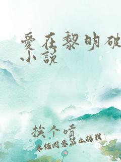 爱在黎明破晓前小说
