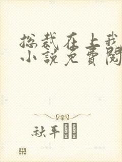 总裁在上我在下小说免费阅读