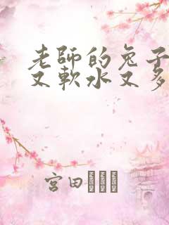 老师的兔子又大又软水又多