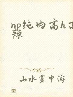 np纯肉高h高辣
