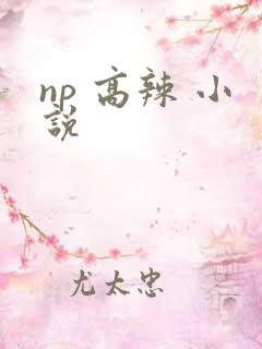 np 高辣 小说