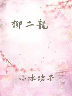 柳二龙