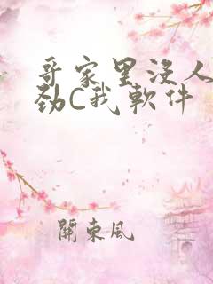 哥家里没人使点劲C我软件