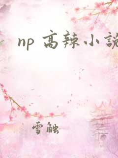 np 高辣小说