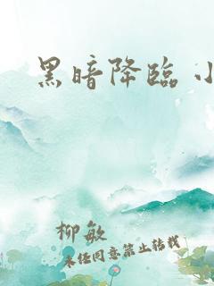 黑暗降临 小说