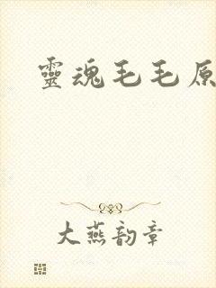 灵魂毛毛原文