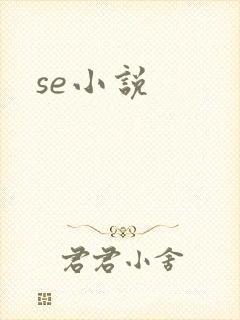 se小说