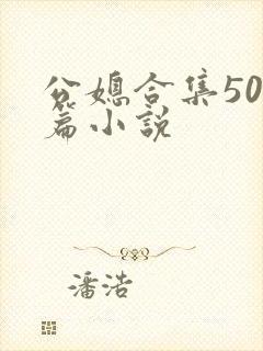 公媳合集500篇小说