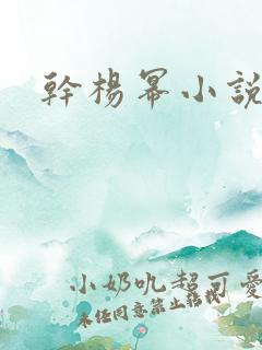 干杨幂小说