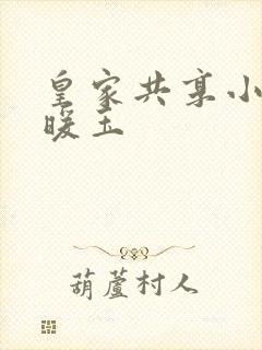 皇家共享小公主暖玉