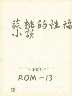 苏桃的性福生活小说