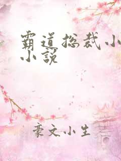 霸道总裁小娇妻小说
