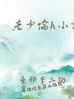 老少伦h小说