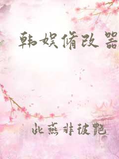 韩娱修改器