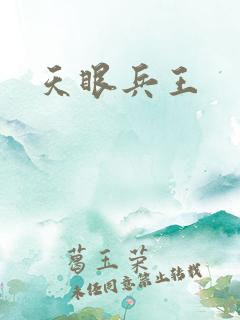 天眼兵王