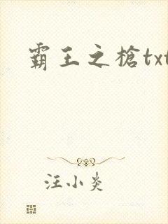 霸王之枪txt