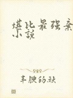 堪比最强弃少的小说