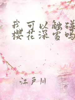 我可以触碰你的樱花深处吗