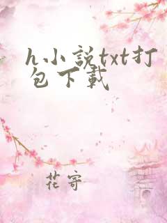 h小说txt打包下载