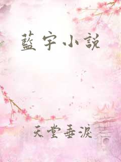 蓝宇小说