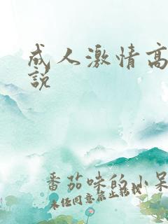 成人激情高h小说
