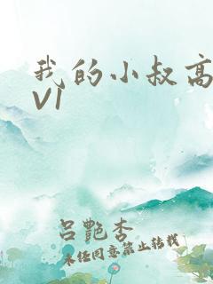 我的小叔高H1V1