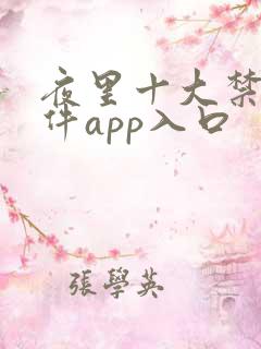 夜里十大禁用软件app入口