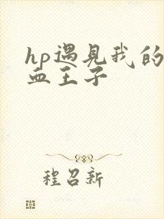 hp遇见我的混血王子
