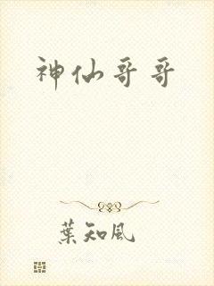 神仙哥哥