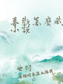 喜欢怎么藏不住小说