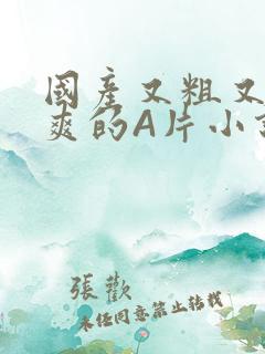 国产又粗又黄又爽的A片小说