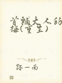 首辅大人的小青梅(重生)