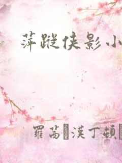 萍踪侠影小说