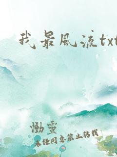 我最风流txt