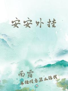 安安外挂