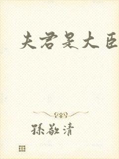 夫君是大臣
