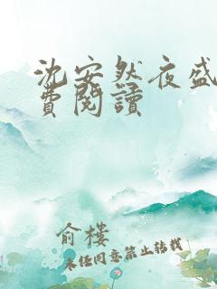 沈安然夜盛霆免费阅读