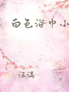 白色浴巾小说