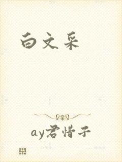 白文采