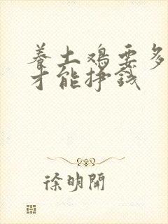养土鸡要多少只才能挣钱