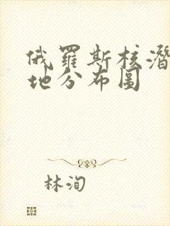 俄罗斯核潜艇基地分布图